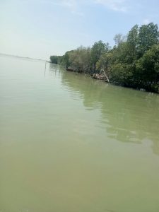 Menelusuri Tempat Wisata Yang Akan di Danai Oleh Pemerintah Desa untuk Perkembangan Wisata Mangrove Tahun 2017